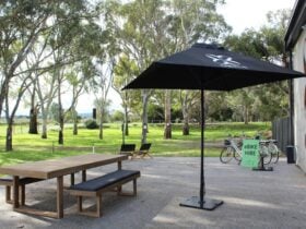 outdoor table and umbrella at Ortus Wines Cellar Door, with eBikes and gumtrees in the background