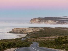 Long drive with coast view