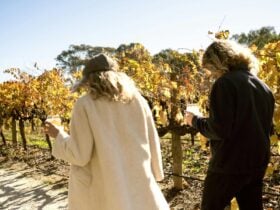 Two women walk through a vineyard, holding glasses of wine