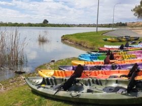 Group Kayak Tours