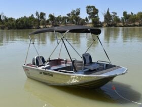 Small tinny hire boat with black canopy on the River at Waikerie, surrounded by calm water & trees
