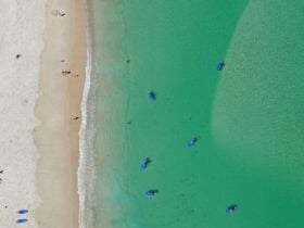 Paddle boarders from above