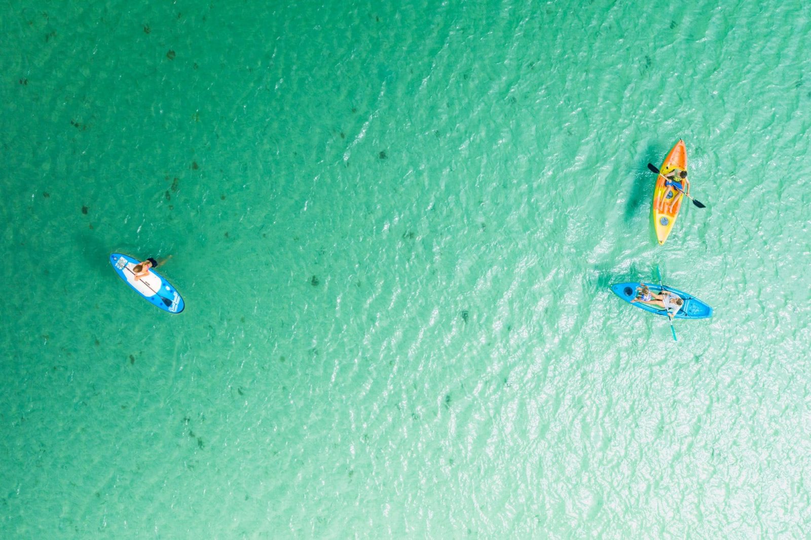 Hire equipment kayaks and stand-up paddle boards