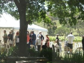 Adelaide winery venue for hire, adelaide hills venue, garden party, Fleurieu venue, adelaide venue,