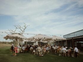 Fleurieu Gin Wedding Reception
