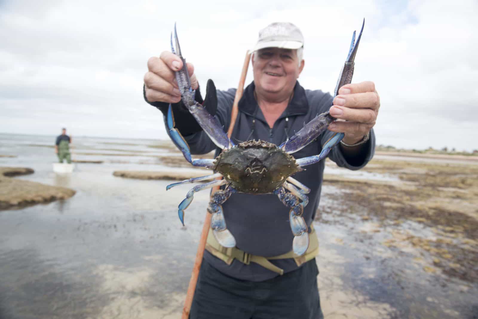 crabbing, Tiddy Widdy Beach, Yorke Peninsula, South Australia