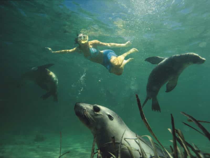 Things to do in South Australia