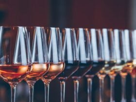 Tasting glasses