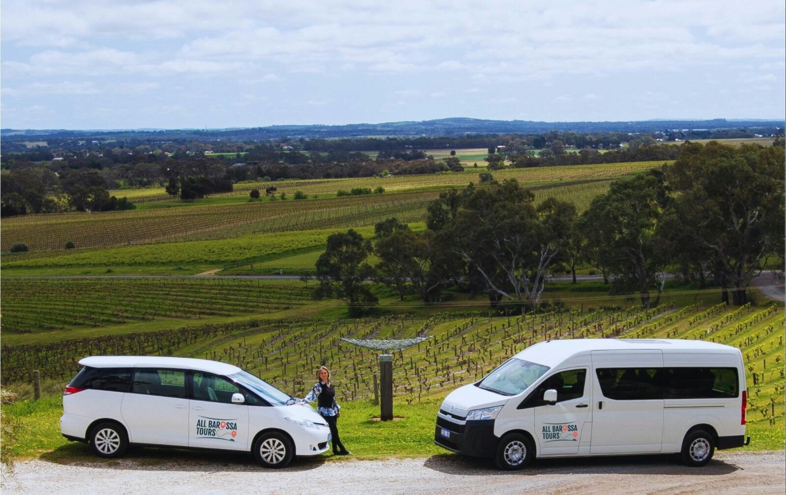 All Barossa Tours vehicles