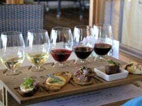 A canape and wine tasting at Paulettes Wines in Clare Valley with a delicious emu liver parfait