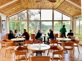 People sitting at tables sipping wine near a window overlooking vineyards
