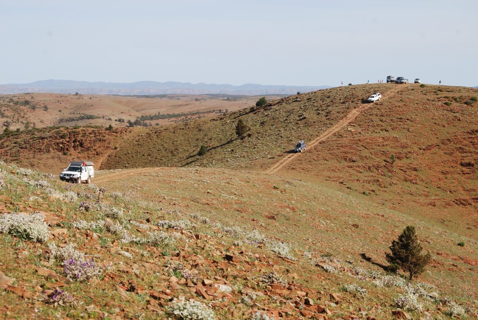 Up high in the Flinders Ranges