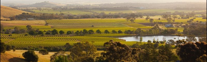 beautiful Barossa landscape