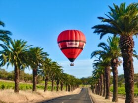 Ballooning over the Barossa