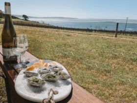 Oysters