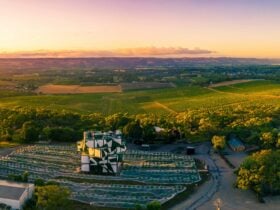 Overlooking the McLaren Vale wine region
