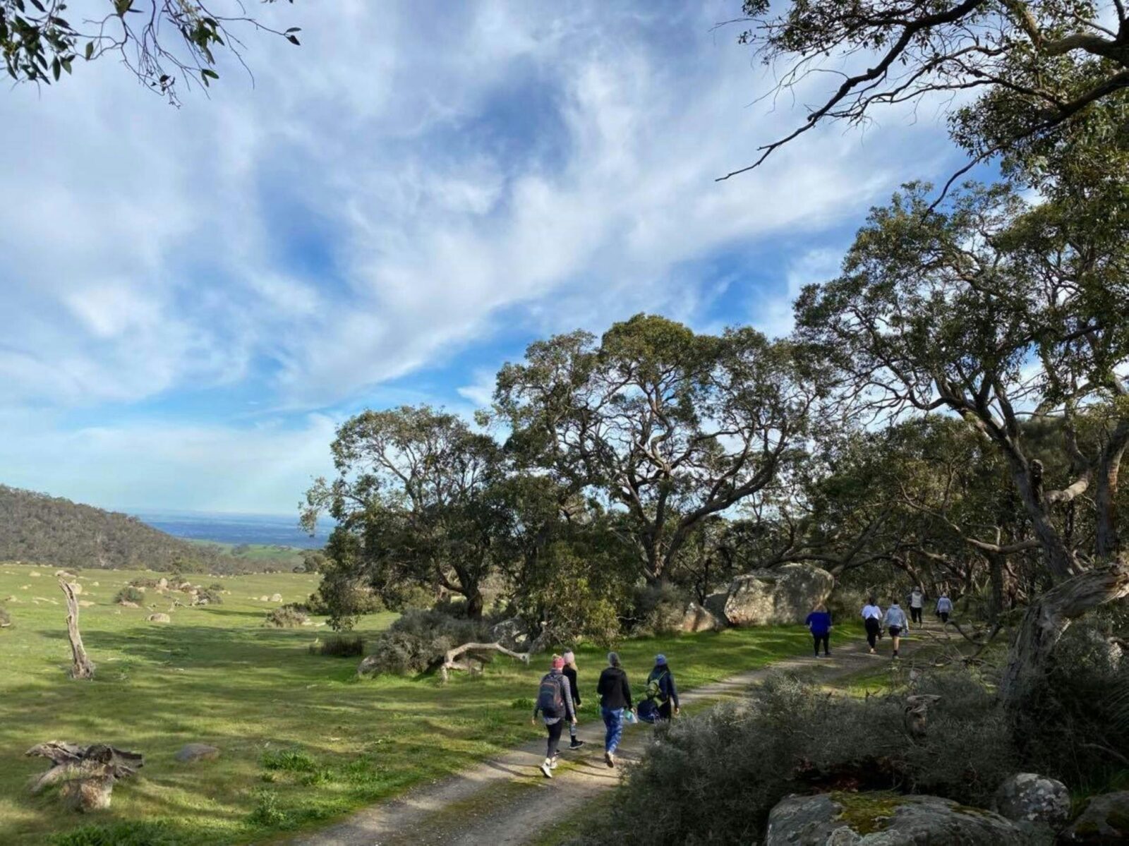 Barossa Wellness Experiences Barossa Valley