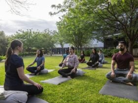 Urban wellness retreat adelaide