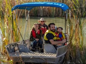 Private motor-boat tours to explore the pristine Riverland Wetlands above Renmark.