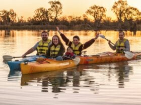 Sunset Kayak Tour