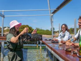 Guide lifting oyster basket during a Coffin Bay oyster farm tour, South Australia