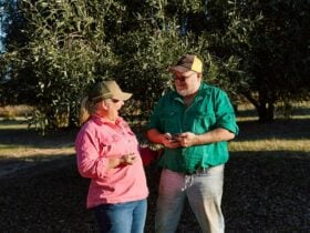 Dave & Heidi Boyd