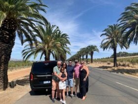 Wine Tour
