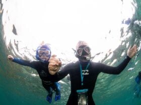 two people in the water snorkelling