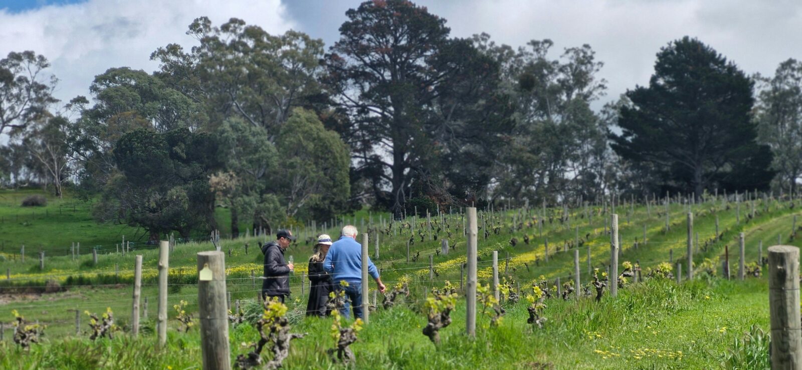 Flaxman Tasting and Tour with Colin