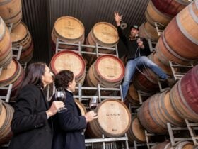 A Day with the Dirtman and Barossa Shiraz by Barrel Tours