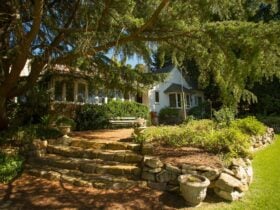 Hans Heysen - The Cedars
