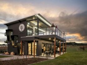 Cellar Door Haselgrove wines