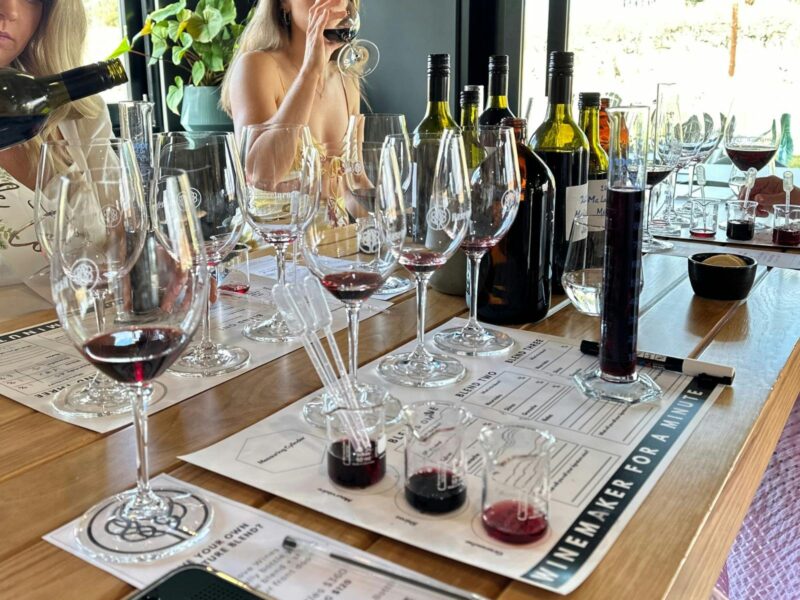 Winemaker for a minute experience