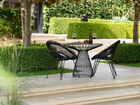 Cellar Door, Bird in Hand