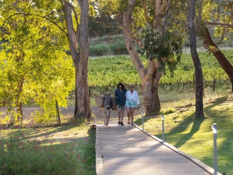 Man and woman walking across a bridge with a donkey