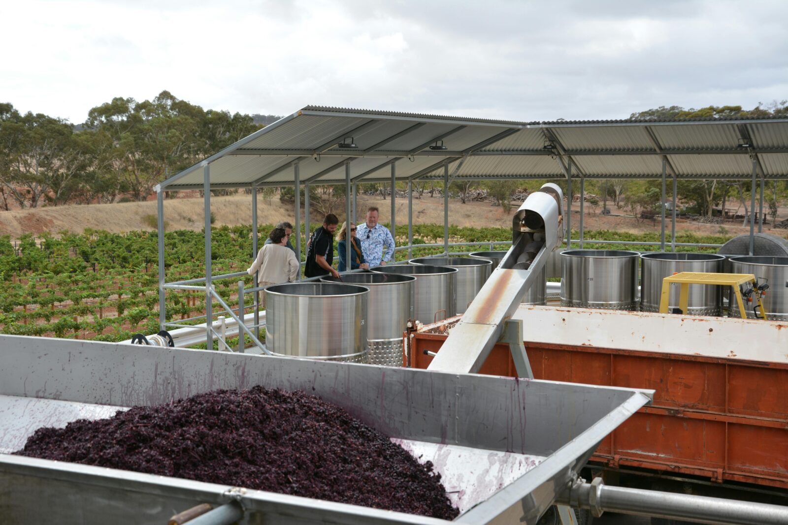 Kalleske Wines