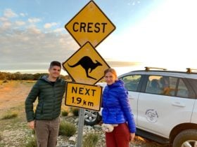 Kangaroo Sign