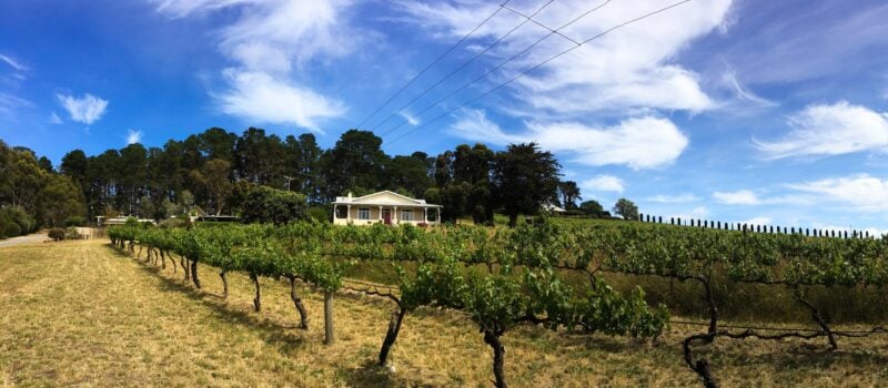 Karawatha Cottages and vineyards