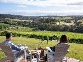Enjoy the view from your private deck overlooking the vineyards