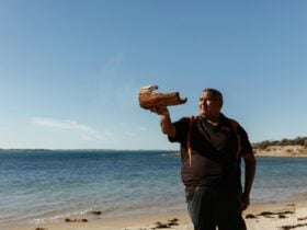 Be immersed in the environment.