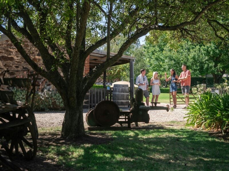 Guided Freedom Experience: Explore Barossa