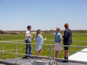 Top of the Mallee Estate vineyards