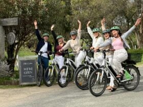A group of young adults standing with their ebikes, arms raised in joy