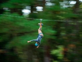 Mount Lofty Adventure Hub