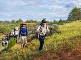 Walking group ascending Headings Cliffs on gentle climb.