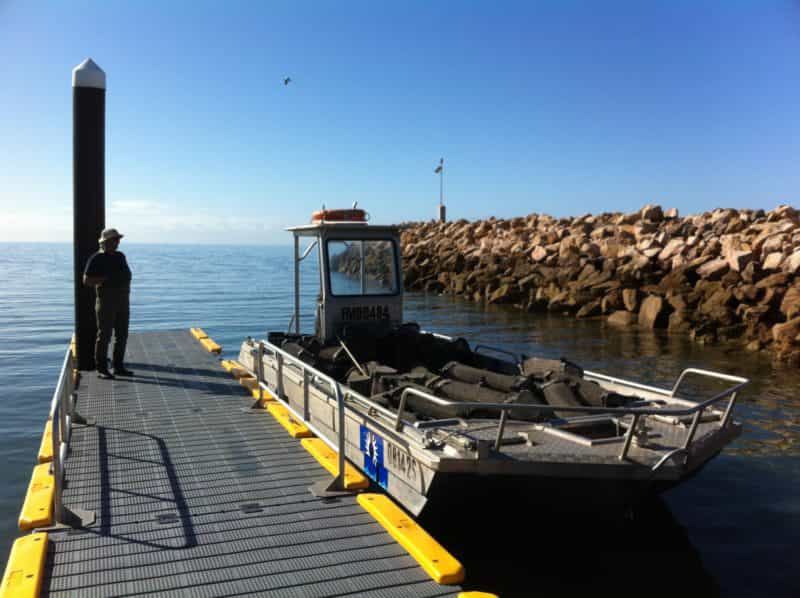 Stansbury Yorke peninsula oysters