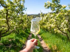 Paracombe Premium Perry - Tour and Tasting Experience - Appleanche