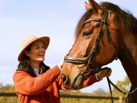Petaluma Wines & Horse-Riding Experiences