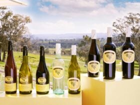 Petaluma Experiences