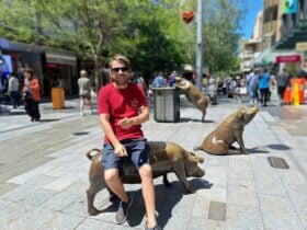 guide at the rundle mall sitting on pig statue